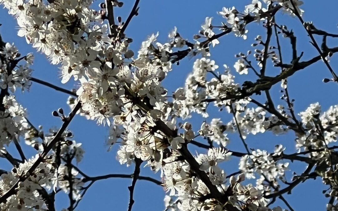 Aufbruch und Schutz: Der April im Elternhaus
