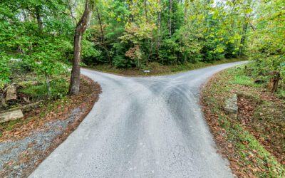 Dankbarkeit und Gleichgewicht: Der September im Elternhaus