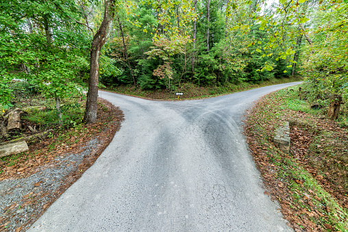 Dankbarkeit und Gleichgewicht: Der September im Elternhaus