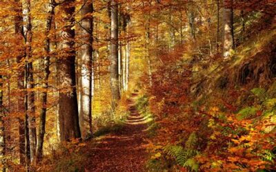 Von Abschied und Loslassen: Der Oktober im Elternhaus