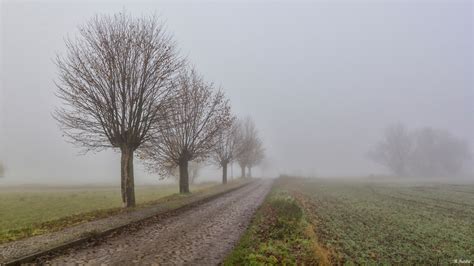 Der November im Elternhaus: Rückzug zu den Wurzeln